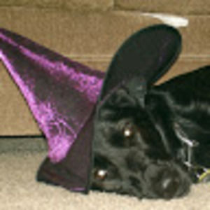 Meet your Posher, Debra